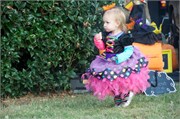 Halloween 58